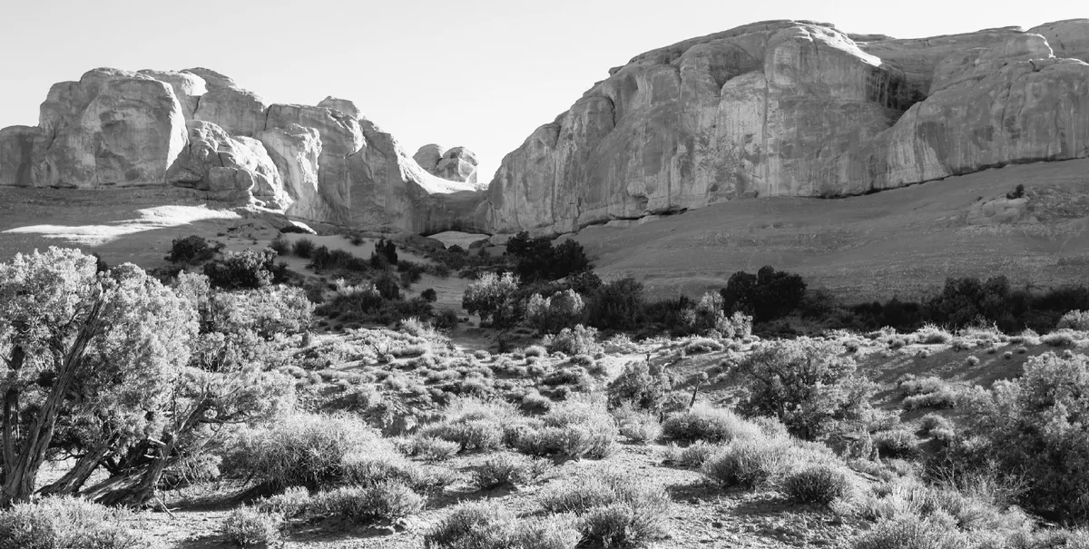 Red filter (#25): after