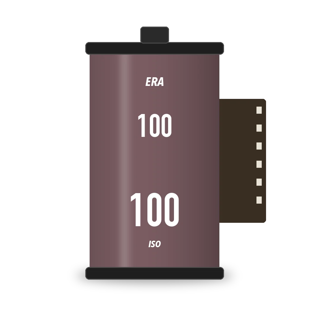 100 film box