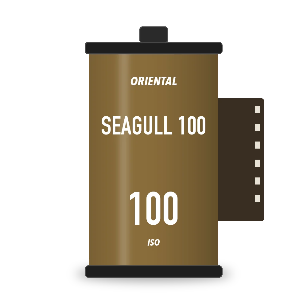 Oriental Seagull 100