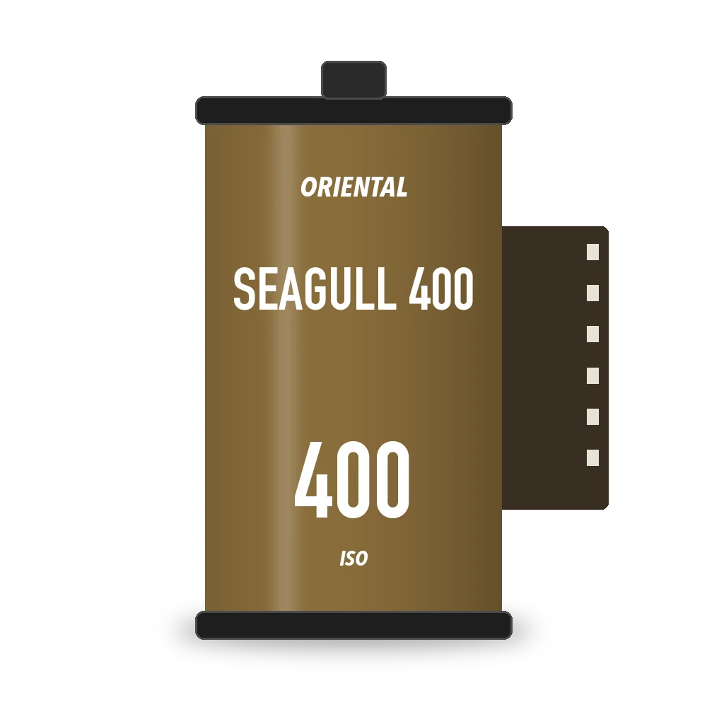Oriental Seagull 400